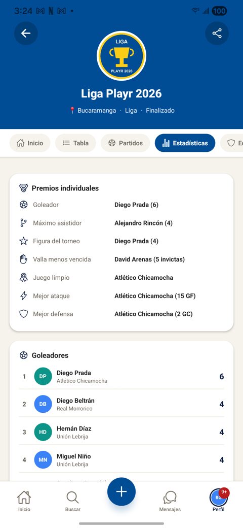 Premios individuales del torneo: goleador, máximo asistidor, figura, valla menos vencida, juego limpio, mejor ataque y mejor defensa